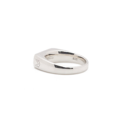 Onyx Slim Signet Ring | Sterling Silver