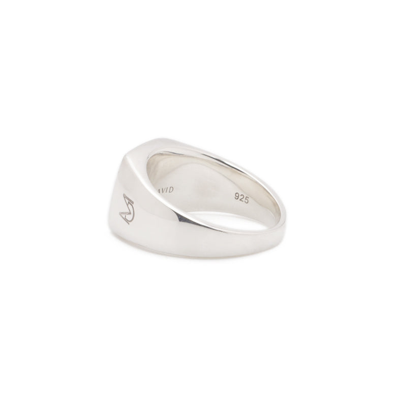 Guardian Ring | Tiger's Eye & Sterling Silver